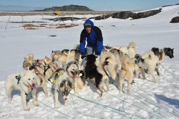 Fazendo festa com os cães do nosso trenó em Ilulissat, na Groelândia